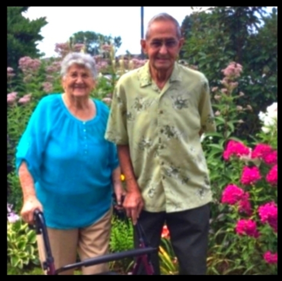 π
π» Christmas Dinnerware Charlton Hall 10 1/2" Plate VNPLC - Picture 15 of 15